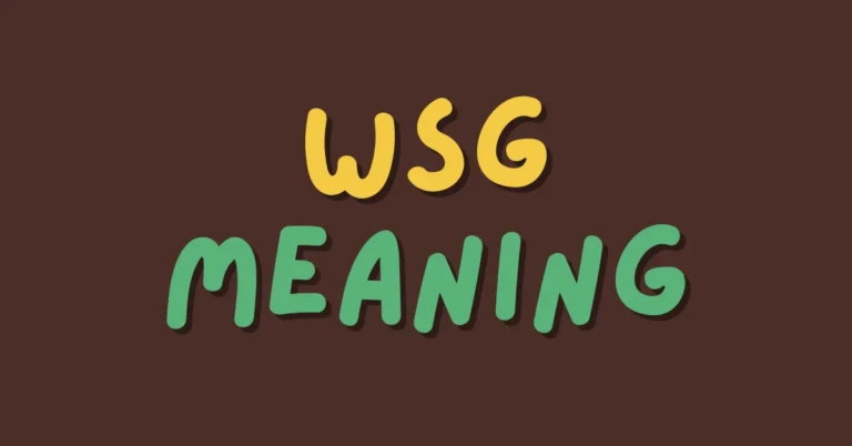 WSG: A Slang Odyssey Across Texting and Chat