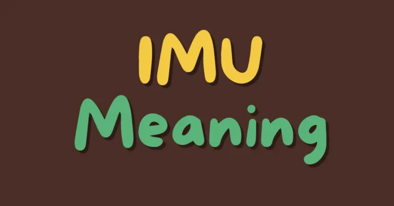 IMU: Unveiling the Incredible Versatility of Abbreviations